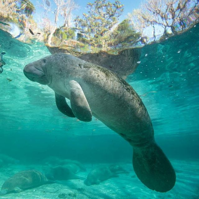 Blue Heaven River Tours