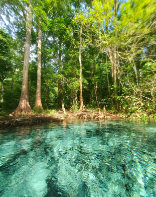 ginnie-springs
