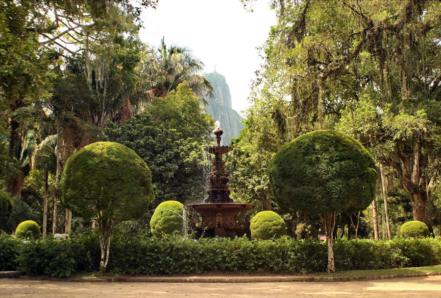 Rio de Janeiro Botanical Garden