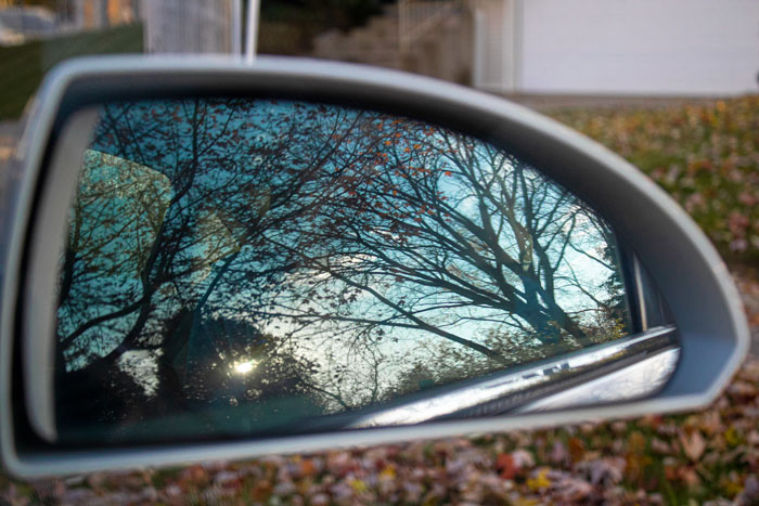car mirror with trees in it